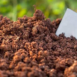 پیراهن زنانه مدل درسا